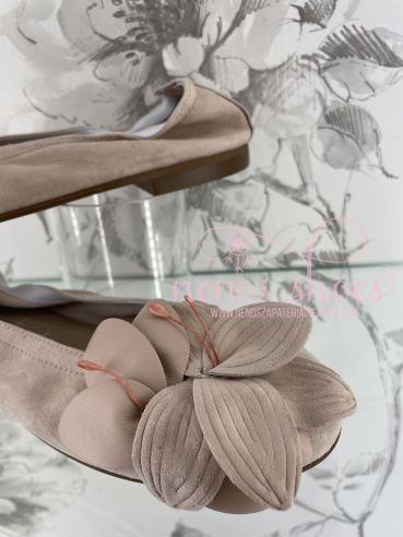 Bailarinas Papanatas flor